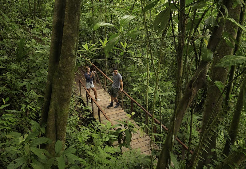 A couple in a honeymoon in the middle of the Rainforest in Origins Luxury Lodge